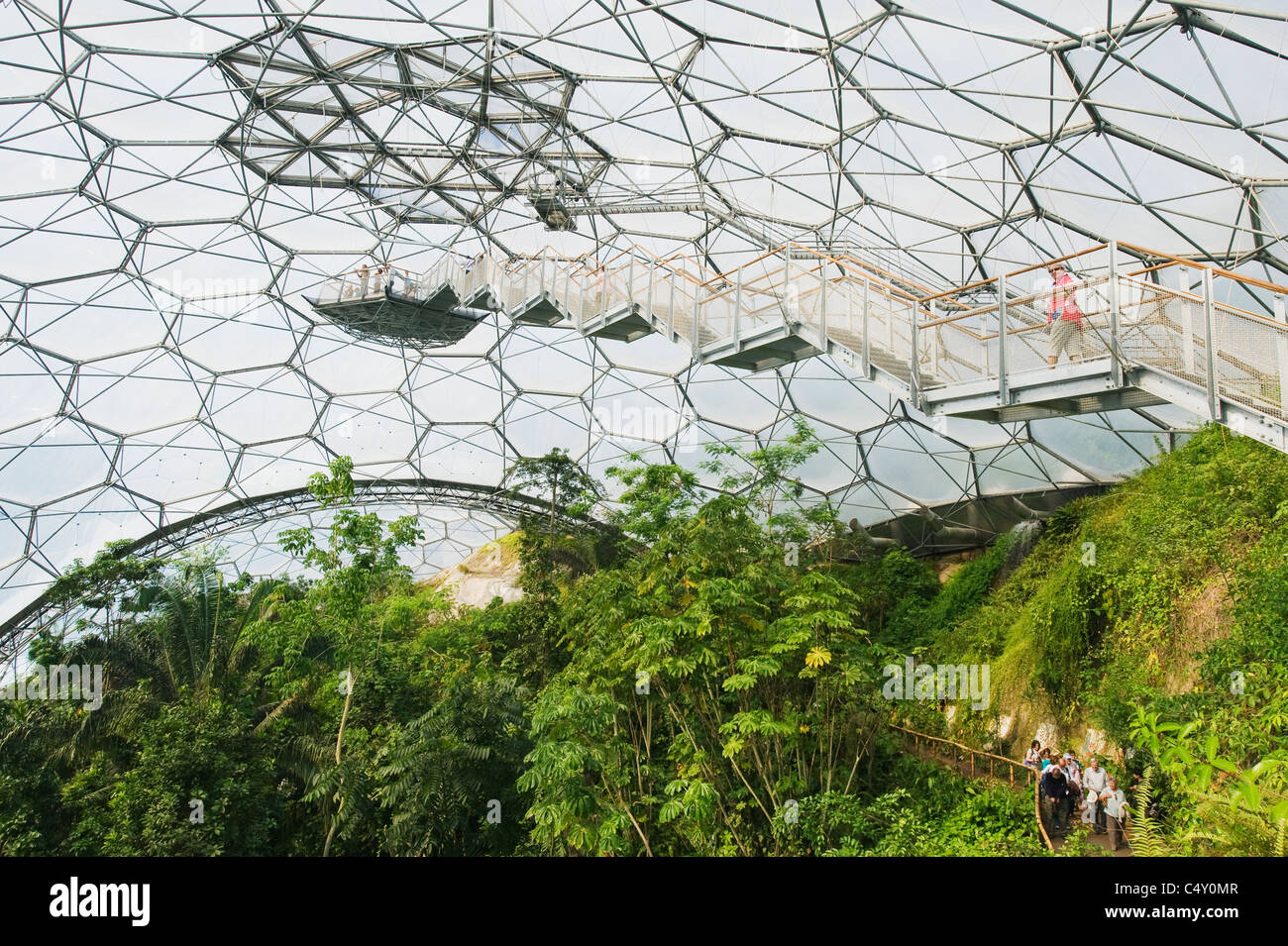 Das Eden Projekt, Rainforest Biome, Gewächshaus, Cornwall, England Stockfoto
