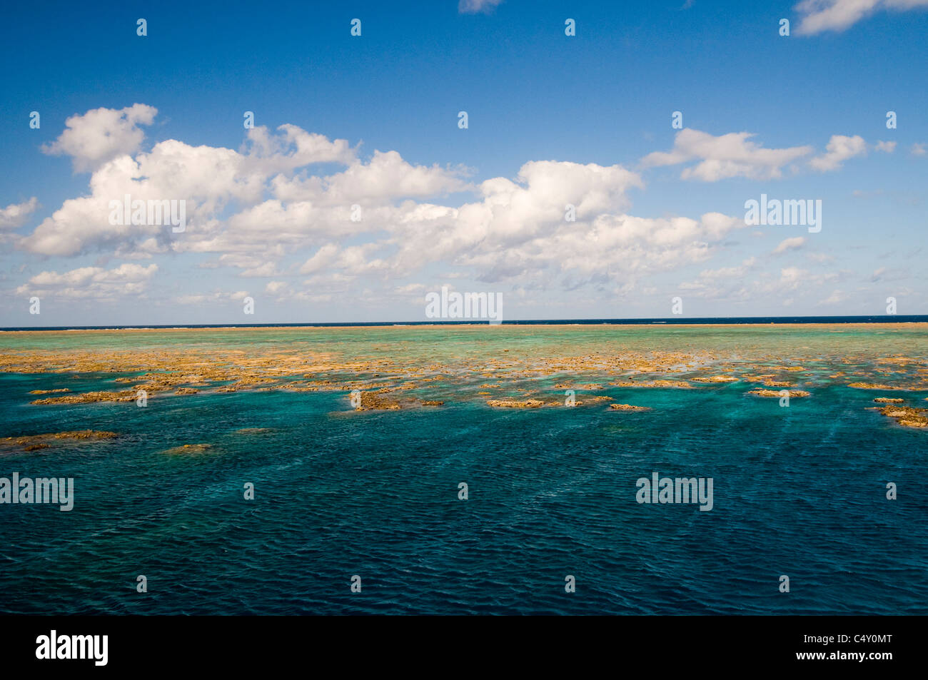 Great Barrier Reef nordöstlich von Cairns in Queensland-Australien Stockfoto