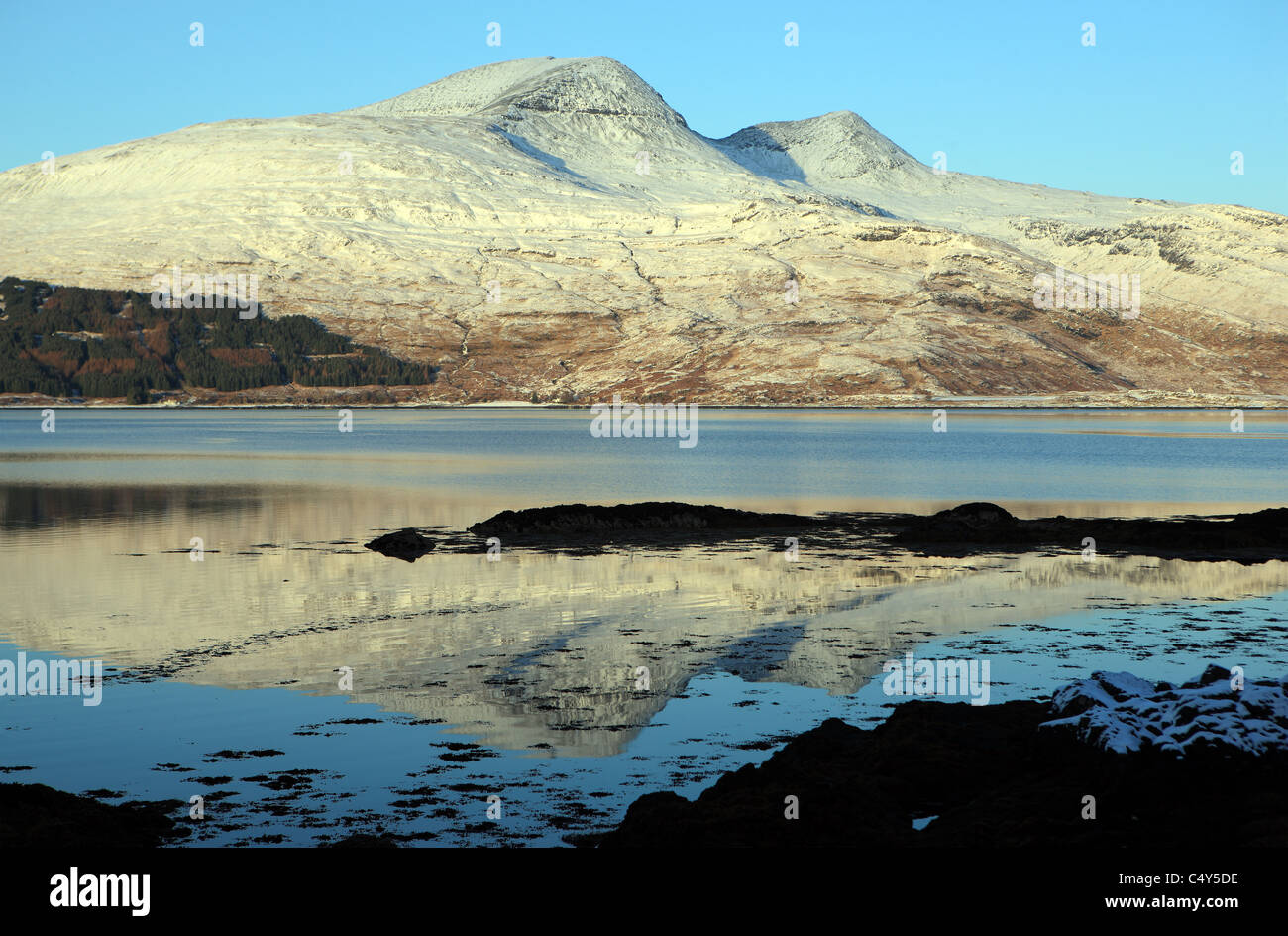 Reflexion der Ben More und A'Chioch bedeckt im Schnee in Loch Scridain auf der Isle of Mull Stockfoto