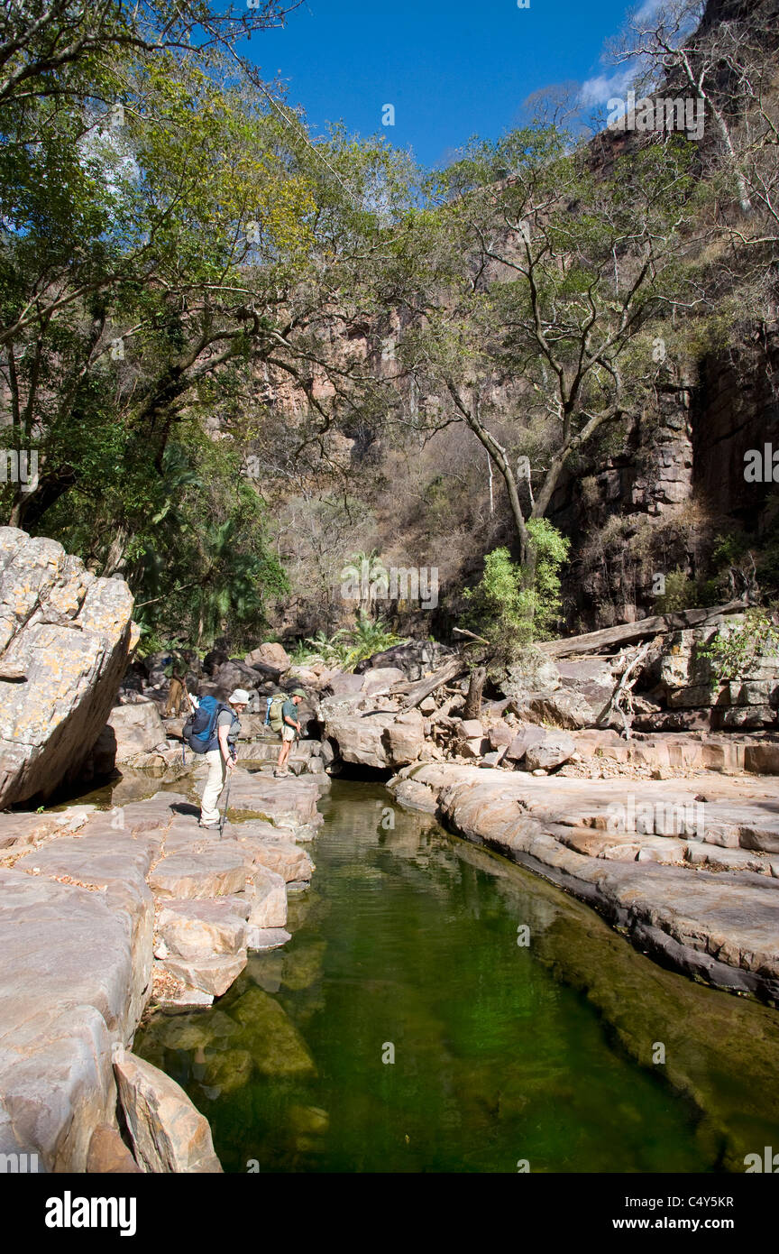 Wanderer Fuß vorbei an einen umfangreichen Wissenspool in Zimbabwes Chizarira Nationalpark Stockfoto