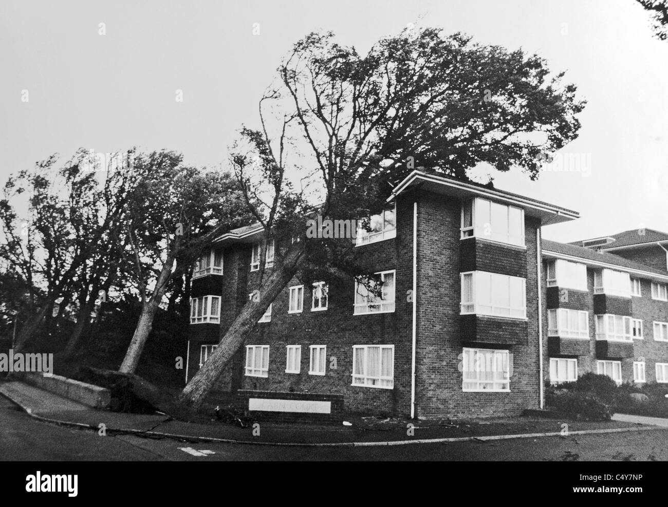 Bäume fallen gegen einen Wohnblock in Queens Park Brighton am Morgen des Hurrikans im Oktober 1987 Stockfoto