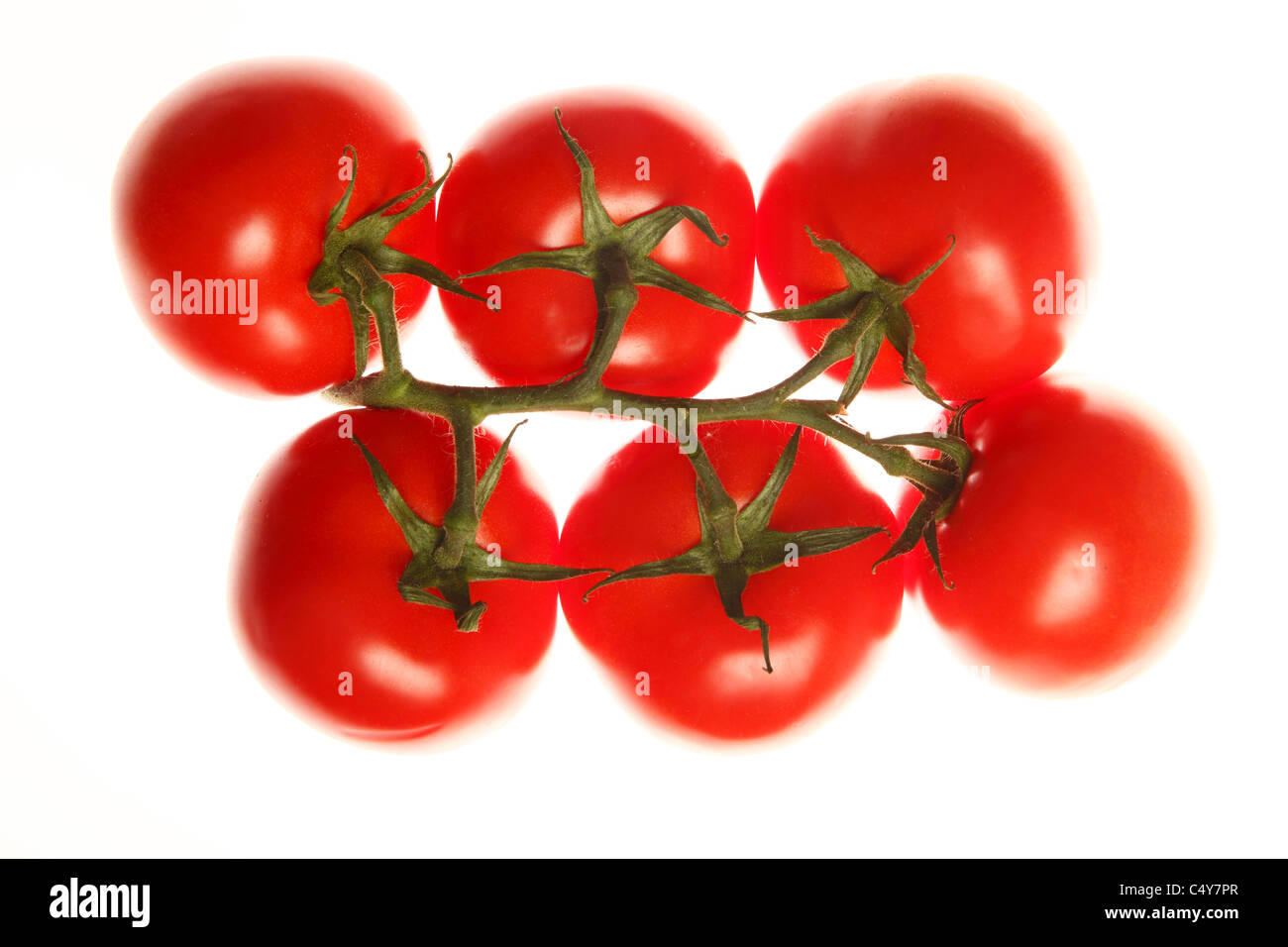 Gemüse, rote Tomate, Rebe gereifte Tomaten. Stockfoto