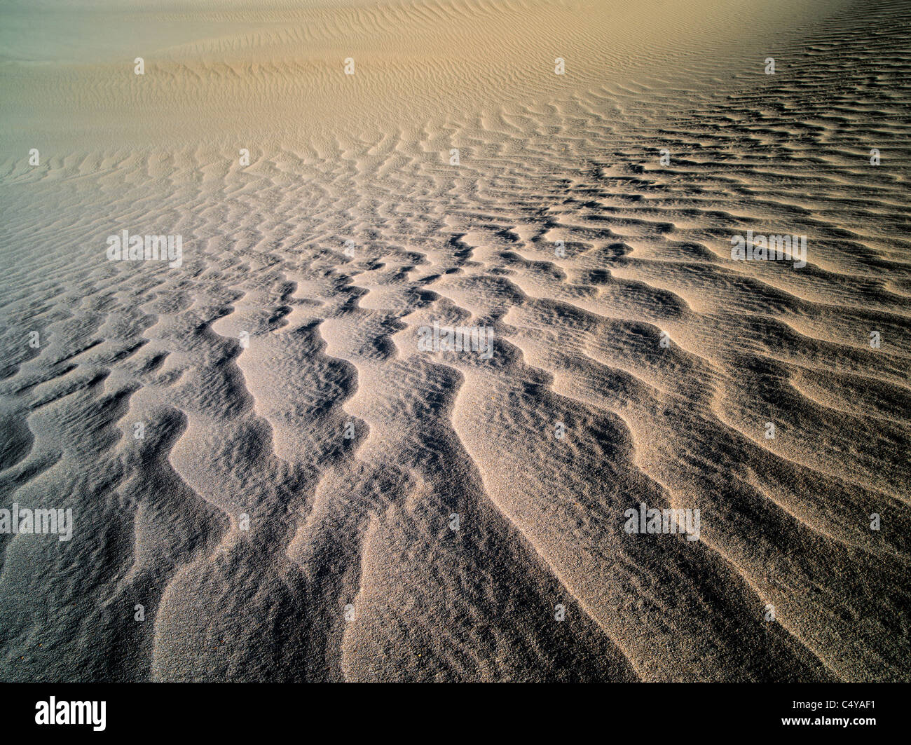 Muster im Sand nach intensiven Sturm. Death Valley Nationalpark, Kalifornien Stockfoto
