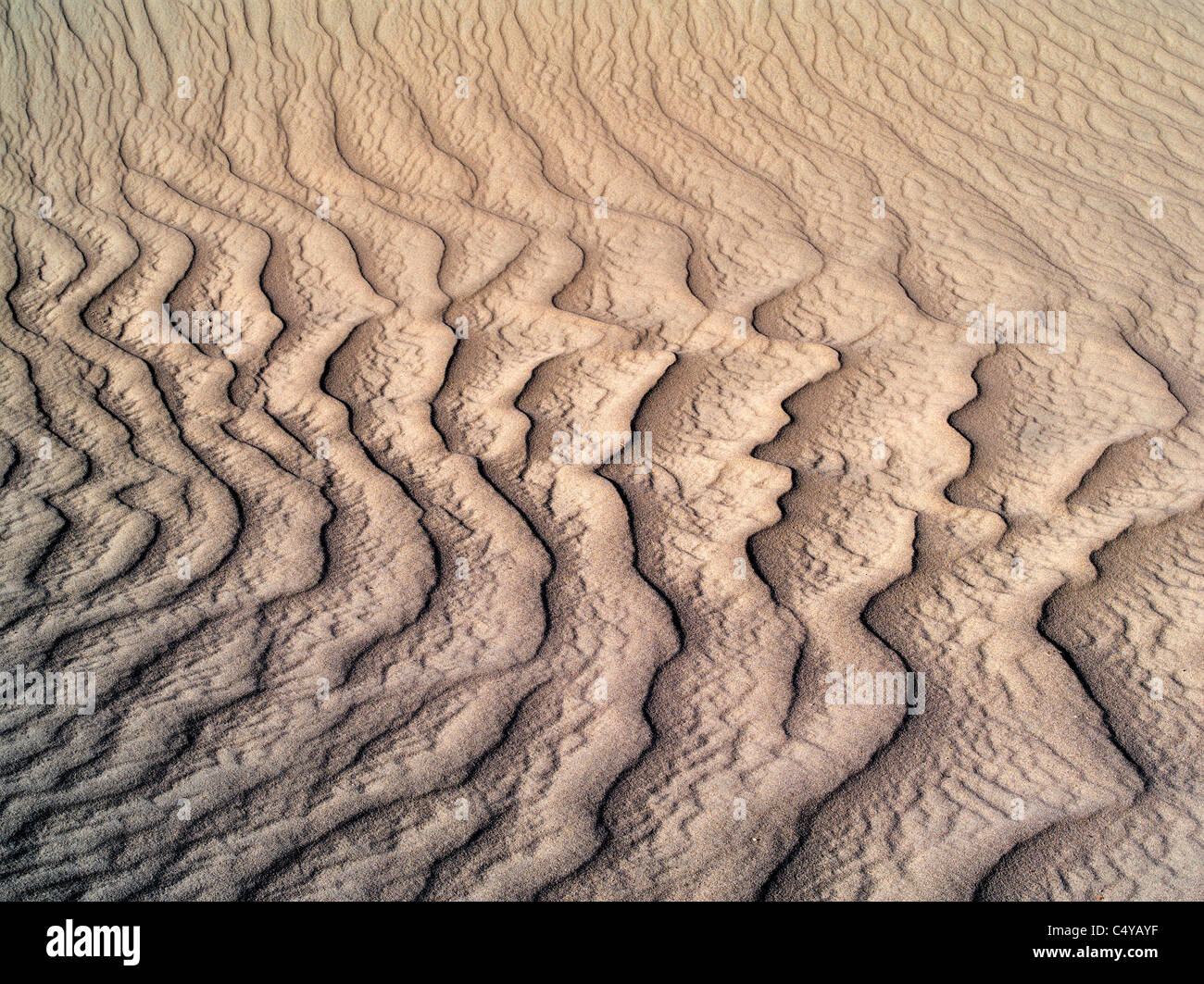 Muster im Sand nach intensiven Sturm. Death Valley Nationalpark, Kalifornien Stockfoto