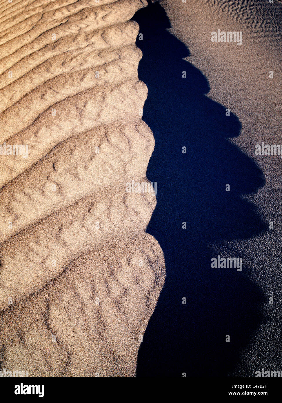 Muster im Sand nach intensiven Sturm. Death Valley Nationalpark, Kalifornien Stockfoto