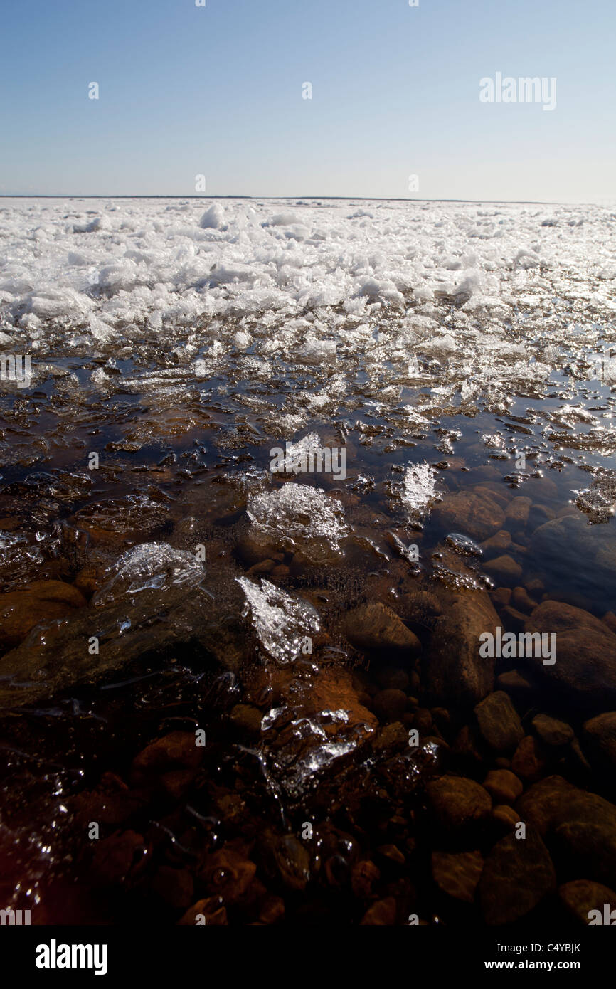 Blöcke des schmelzenden Meereises schweben an das Ufer im Frühlingstauwetter Oulu, der Bottnische Meerbusen, Finnland Stockfoto