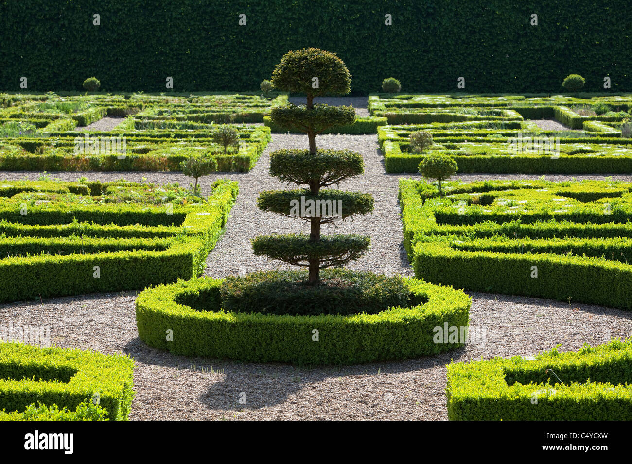 Der versunkene Garten, Buchshecken, Park von Enghien, Belgien Stockfoto