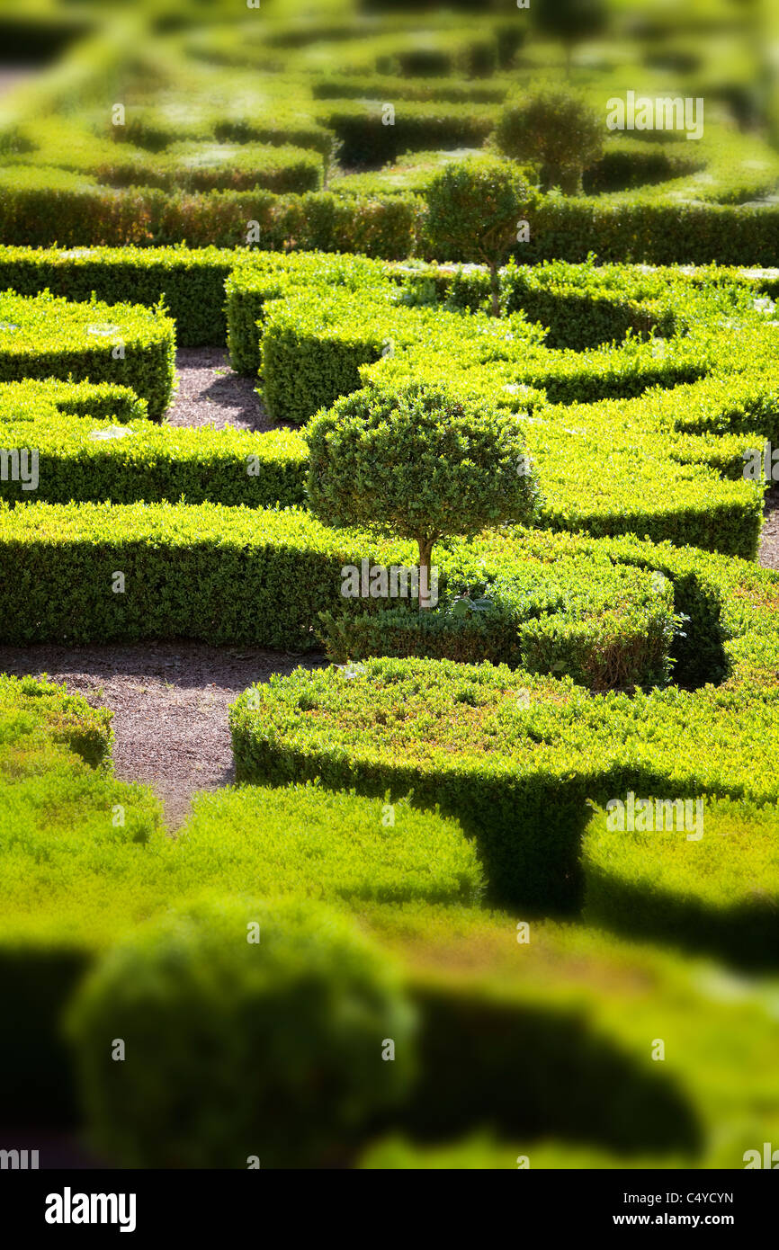 Der versunkene Garten, Buchshecken, Park von Enghien, Belgien Stockfoto