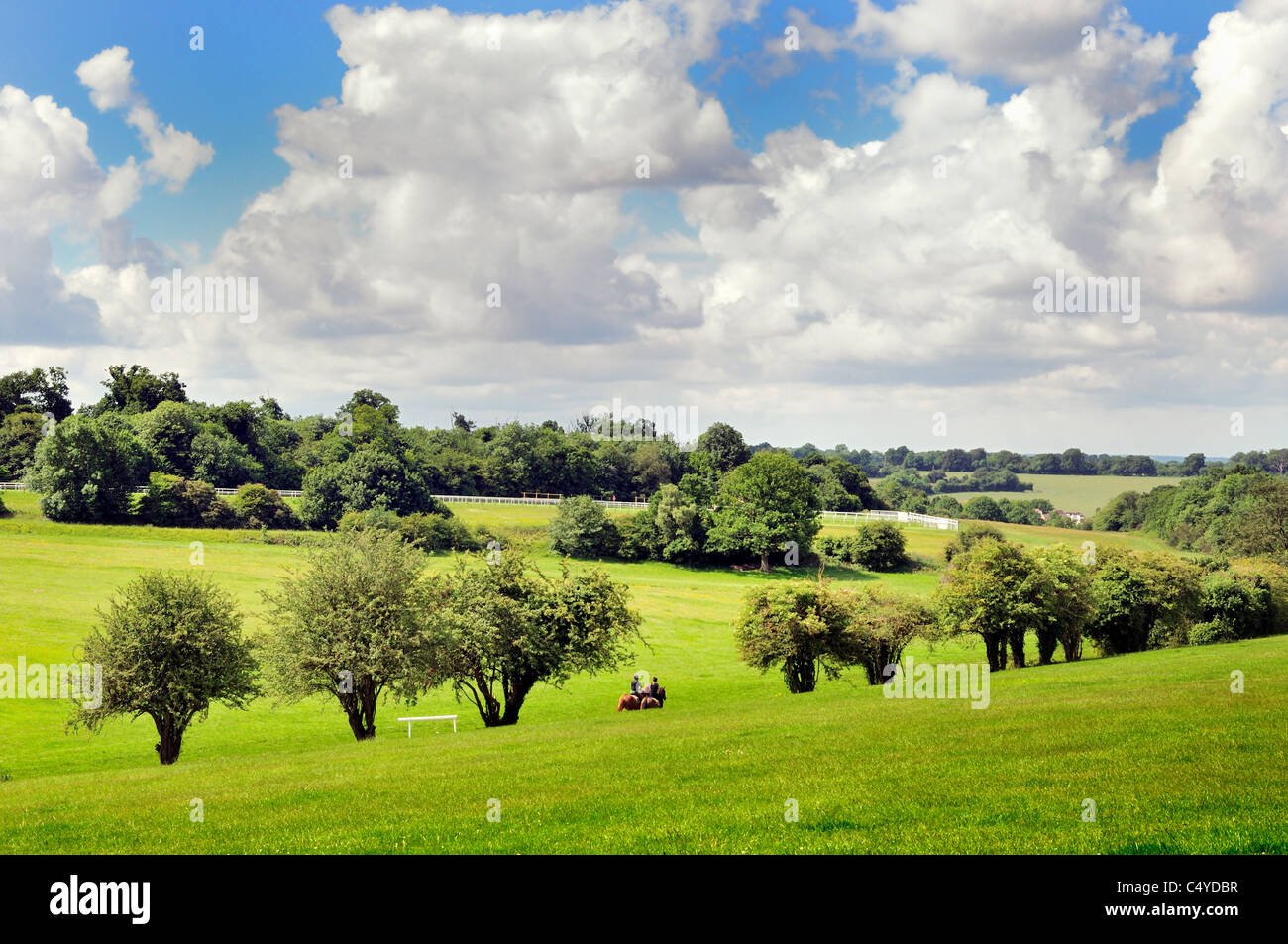 Landschaft in Epsom Downs, Surrey Stockfoto
