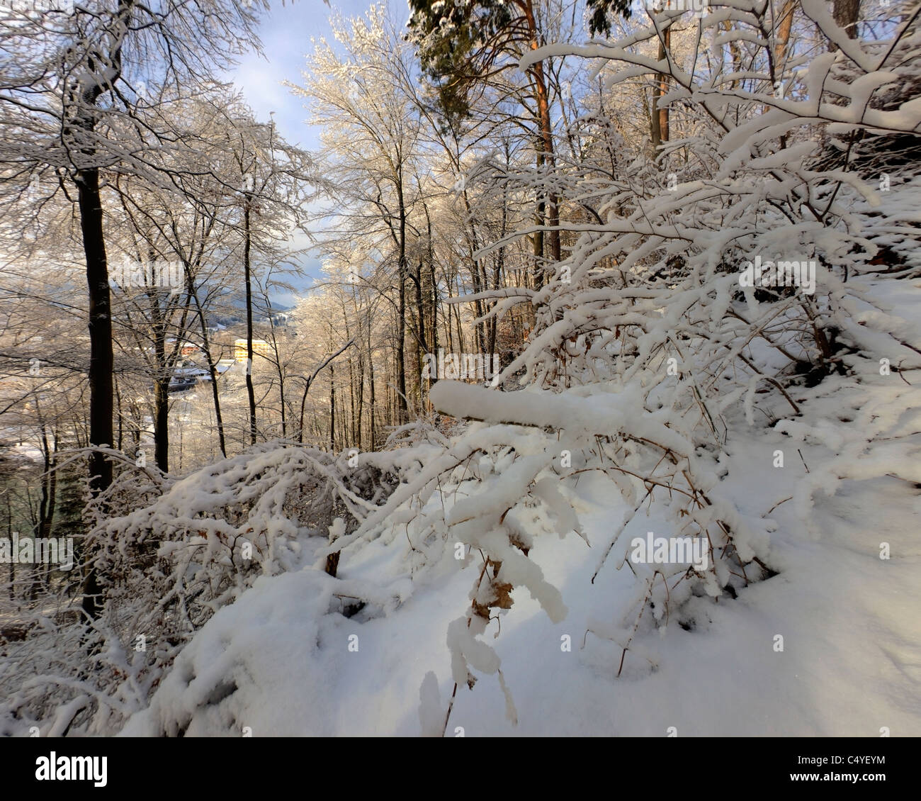 DE - Bayern: Winter-Szene auf den Kalvarienberg in Bad Tölz Stockfoto