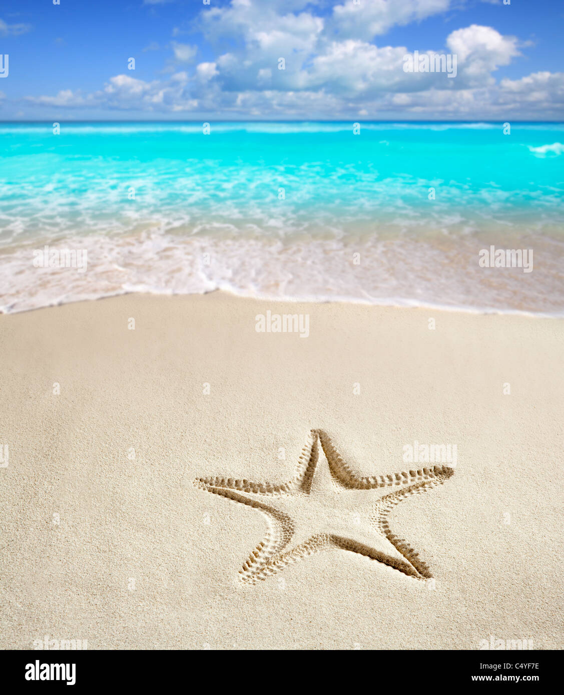 Karibik-Strand mit Seesternen Drucken auf weißem Sand wie ein Sommer-Urlaub-symbol Stockfoto