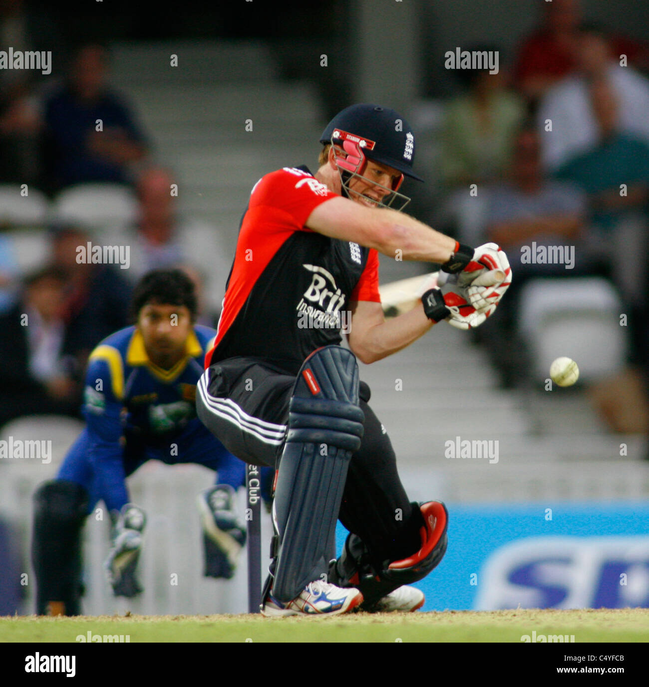 Cricket, die erste Natwest gespielt eines Tages international zwischen England und Sri Lanka an der ovalen London Stockfoto