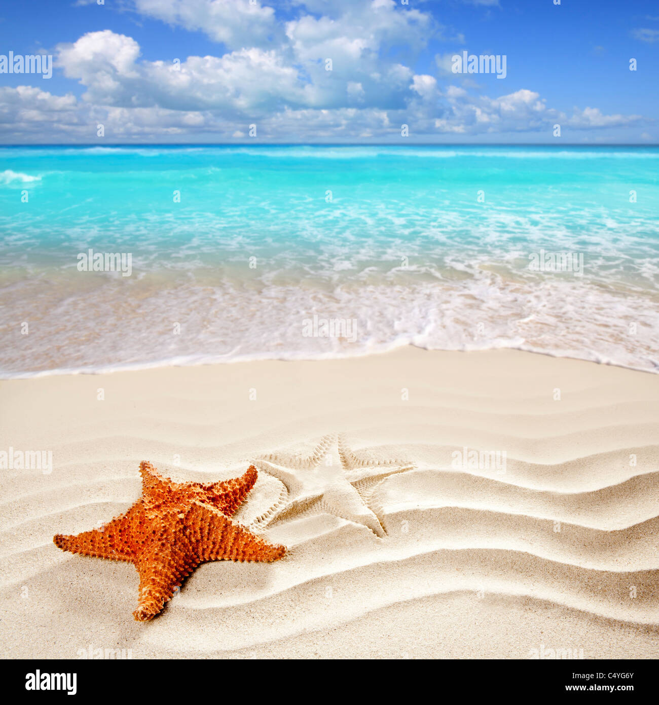 Karibische Seestern über wellige weißen Sandstrand so ein Sommer-Urlaub-symbol Stockfoto