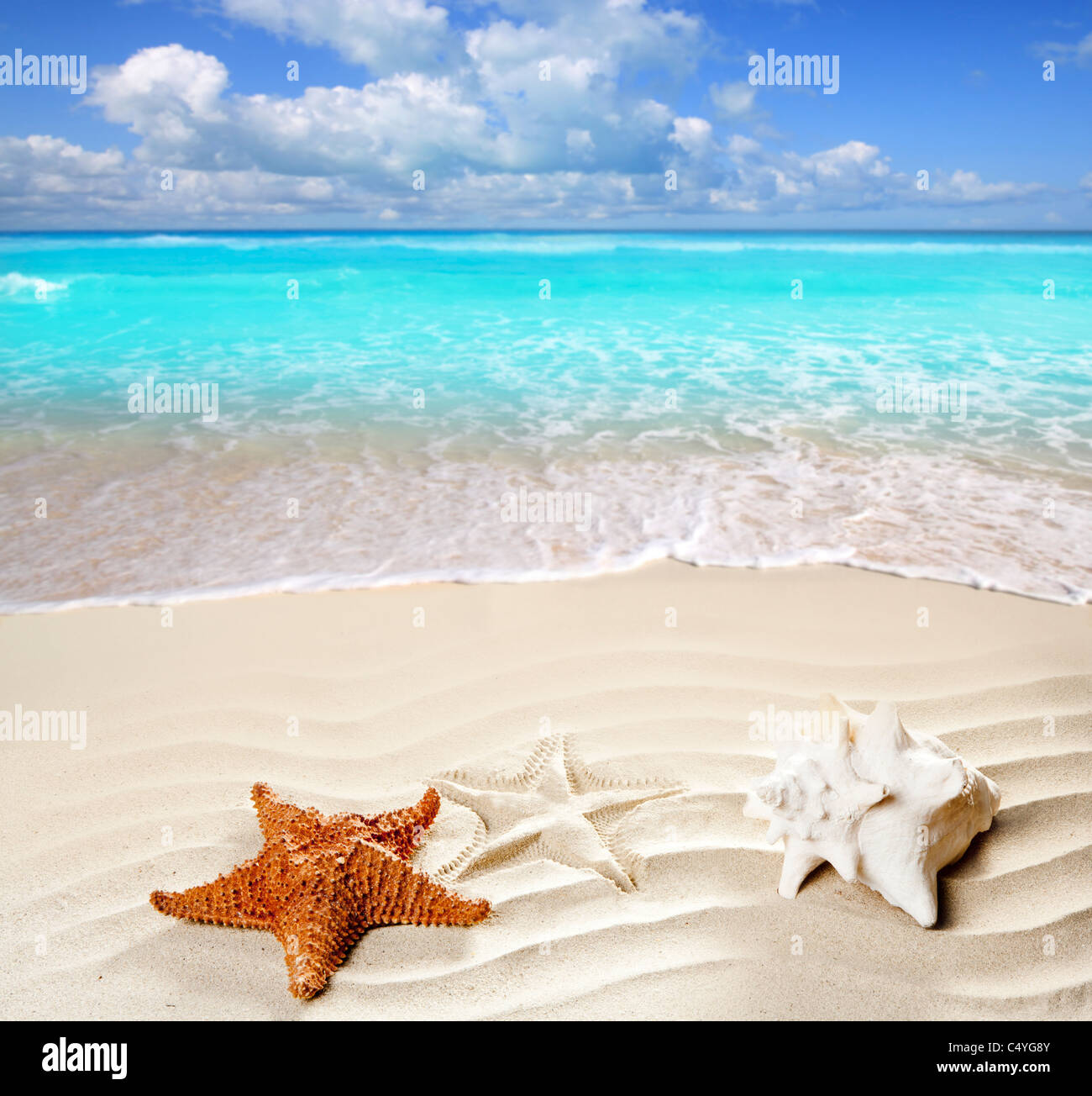 Karibische Muschel und Seesterne über wellige weißen Sand am Strand so ein Sommer-Urlaub-symbol Stockfoto