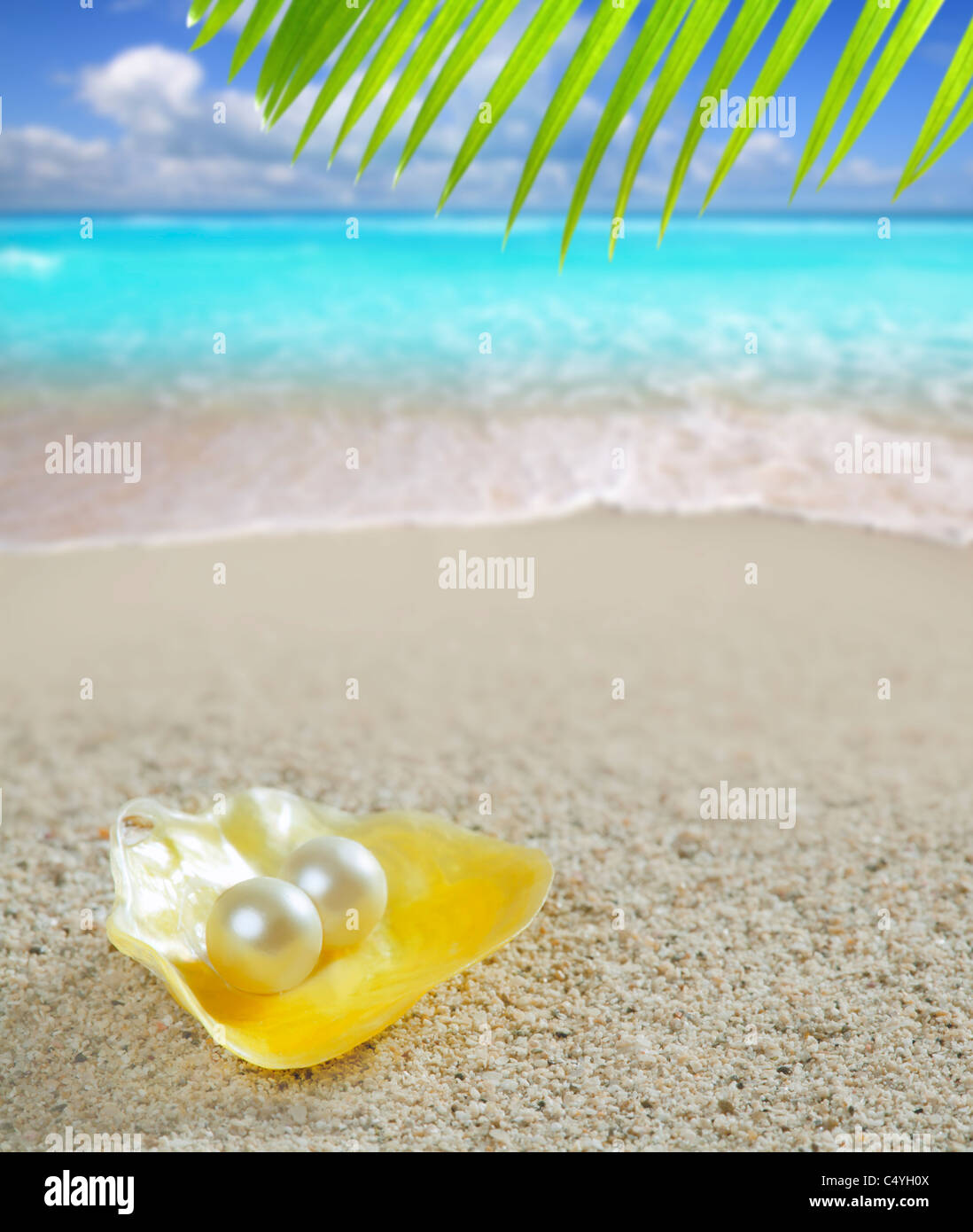 Karibische Perle am Schale weißen Sandstrand Sommer tropischen türkisfarbenen Meer Stockfoto