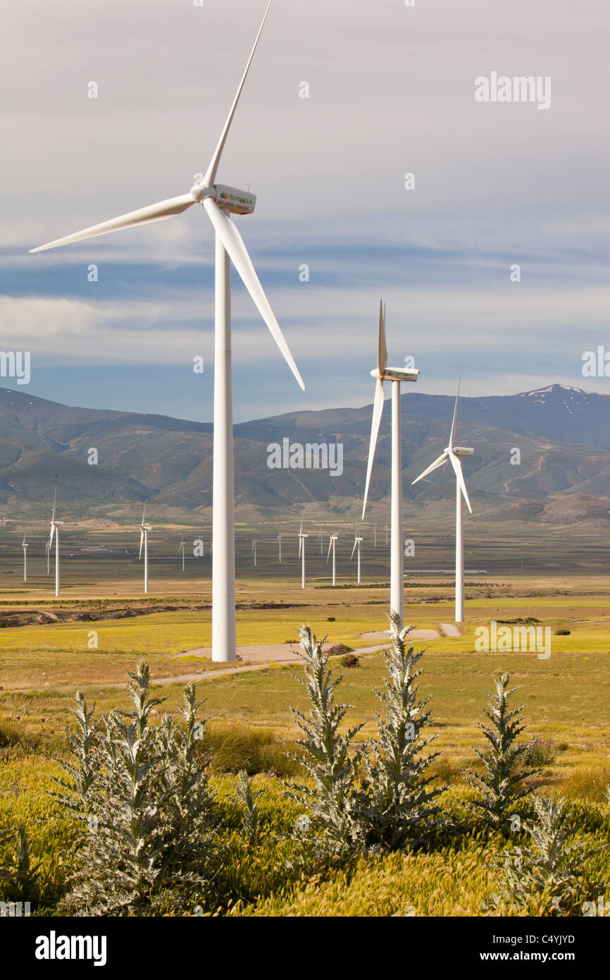 Ein Windpark in der Nähe von La Calahorra in Andalusien, Spanien. Stockfoto