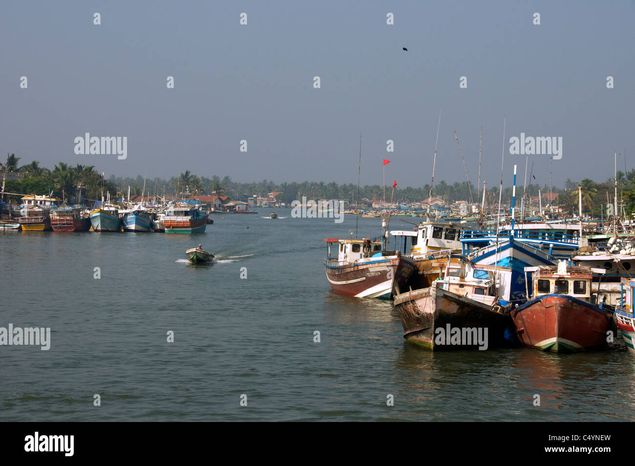 Ankern, Angeln Trawler Lagune von Negombo Sri Lanka Stockfoto