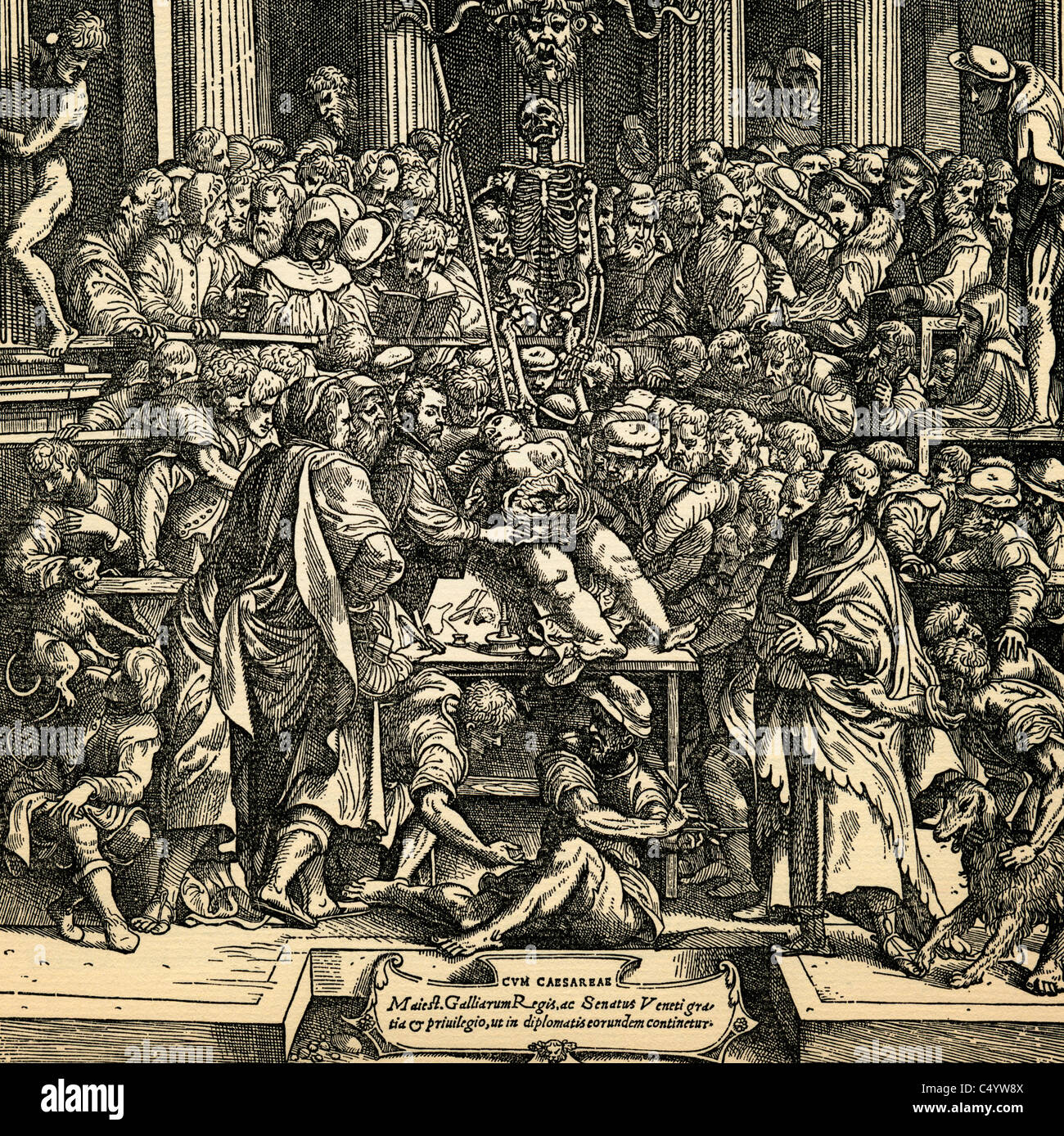 Anatomie-Lektion auf Titelblatt von De Humani Corporis Fabrica Libri Septem von Andreas Vesalius Stockfoto