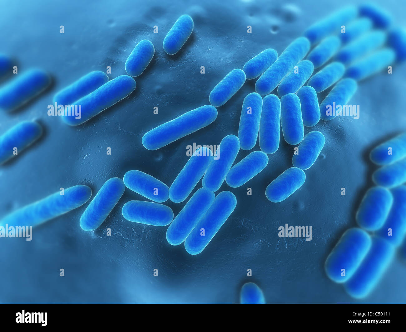 3D Bakterien Stockfoto