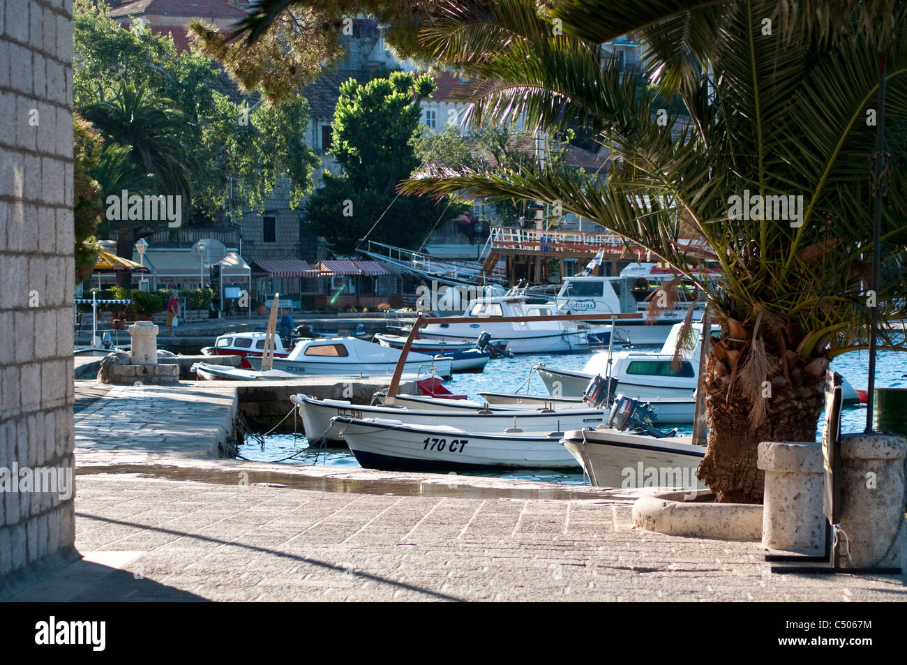 Hafen von Cavtat, Kroatien Stockfoto