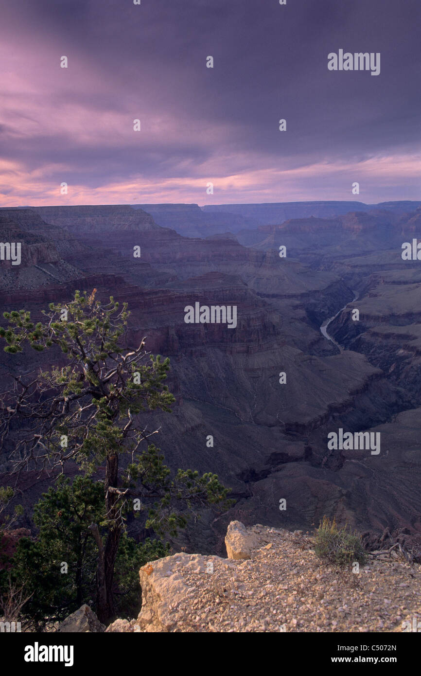 South Rim, Grand Canyon Nationalpark in ARIZONA Stockfoto