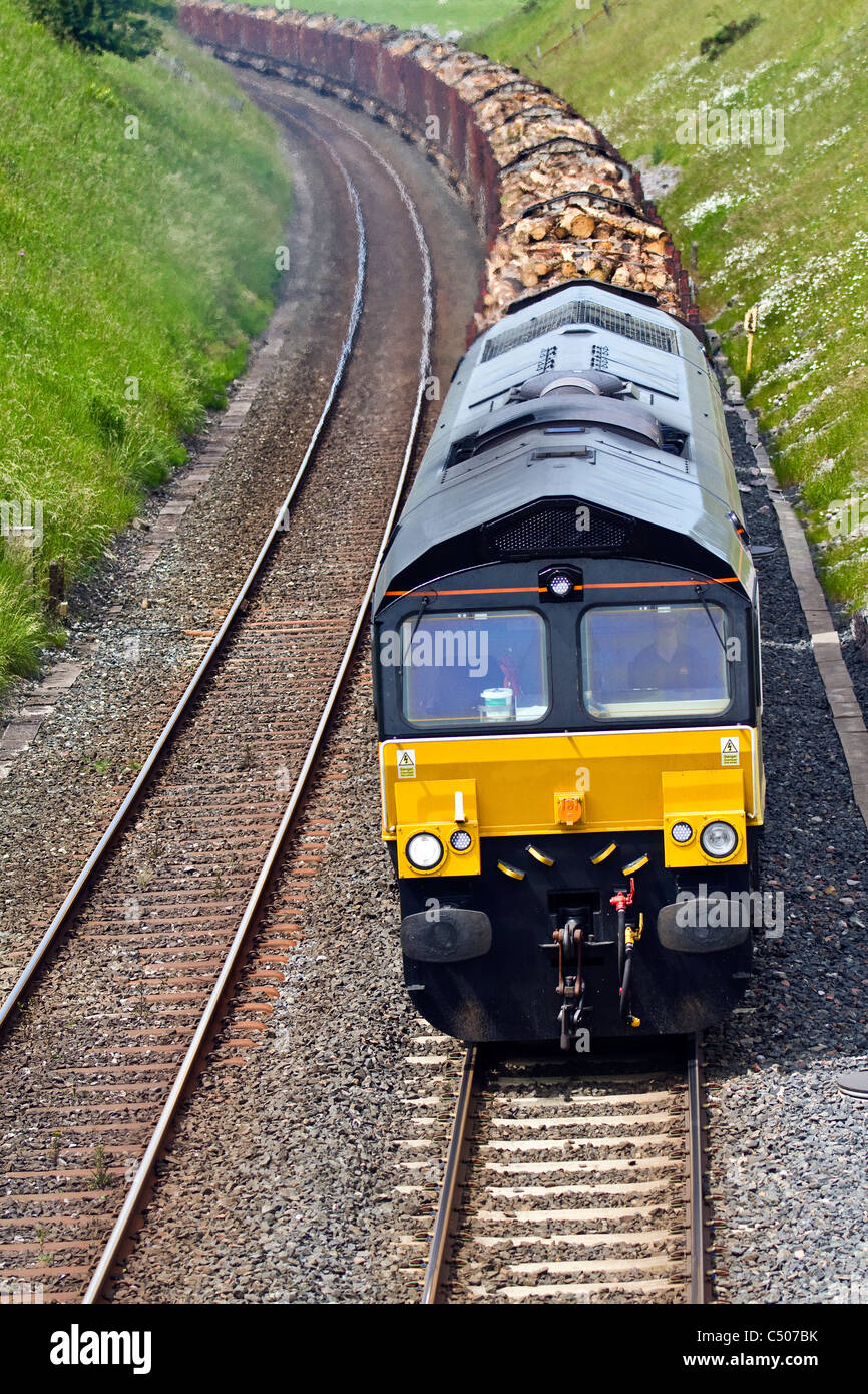 GB Holzfracht Colas Rail Long Cut Log fährt Carlisle Yard nach Chirk beladen mit Schnittholz am Bahnhof Tebay, Kirkby Stephen, Cumbria, UK Stockfoto