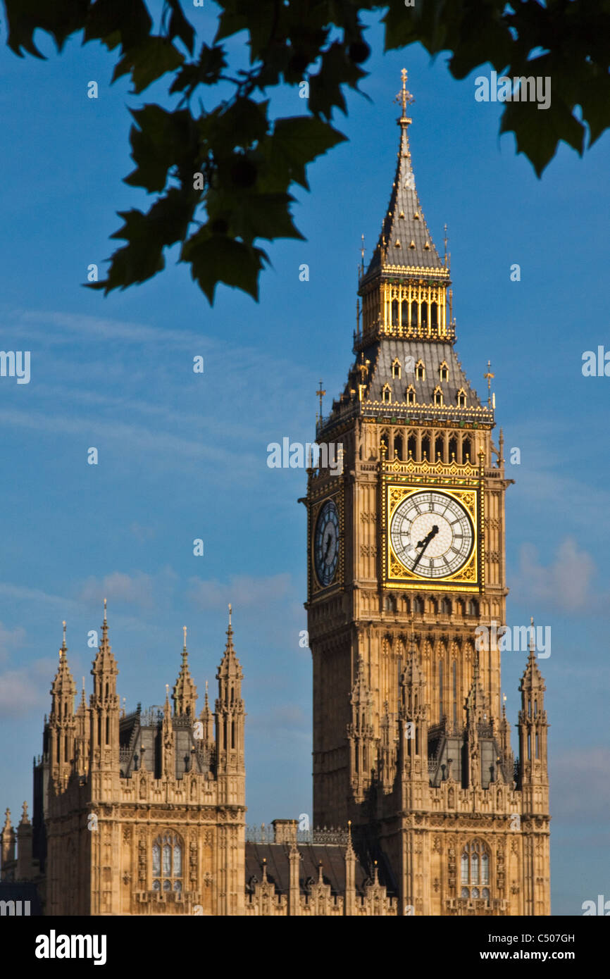 Uhrturm Big Ben, Houses of Parliament Stockfoto