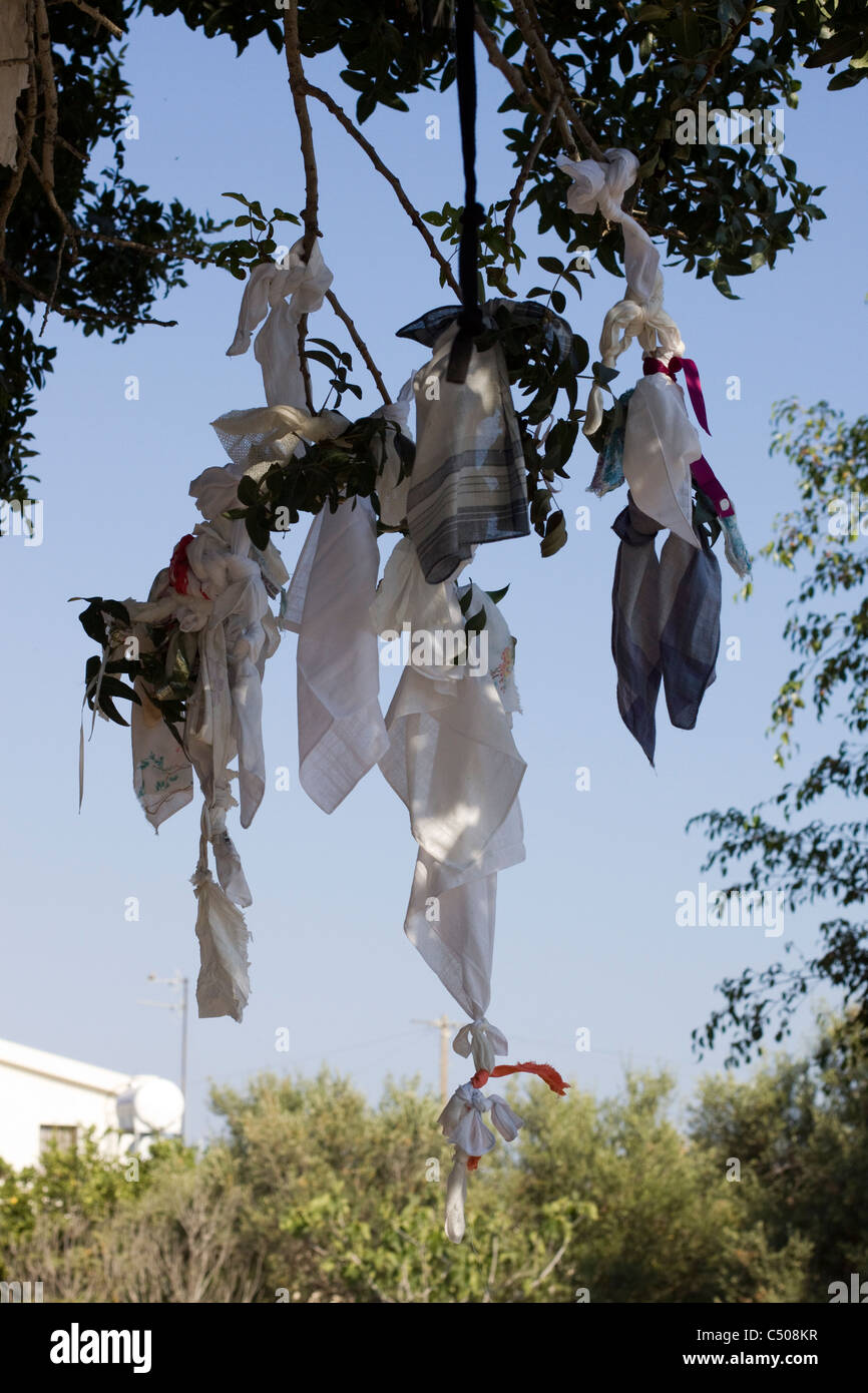 Der Gebetsbaum in der alten Stadt Paphos Zypern Stockfoto