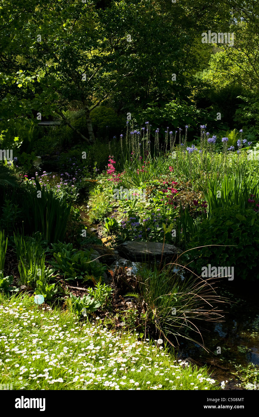 RHS Rosemoor Gärten im April, Devon, England, Vereinigtes Königreich Stockfoto