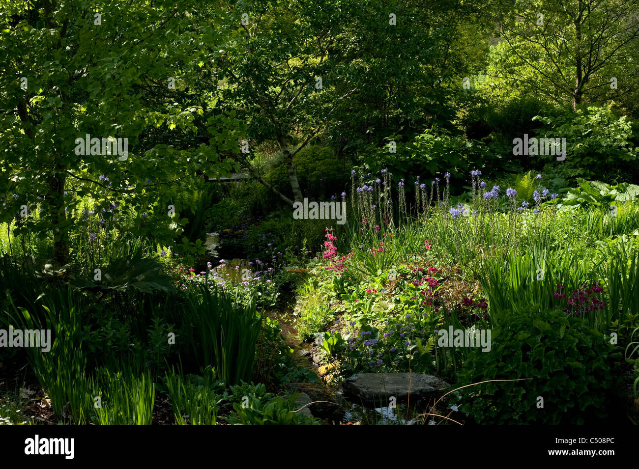 RHS Rosemoor Gärten im April, Devon, England, Vereinigtes Königreich Stockfoto