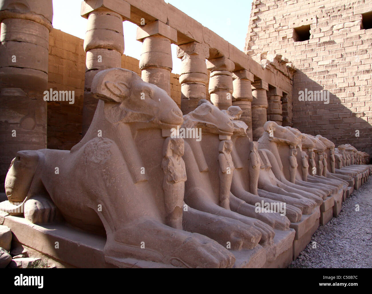 Die Rams des Karnak-Tempels. auf den Seiten des Gerichts des Tempels ruht. Stockfoto