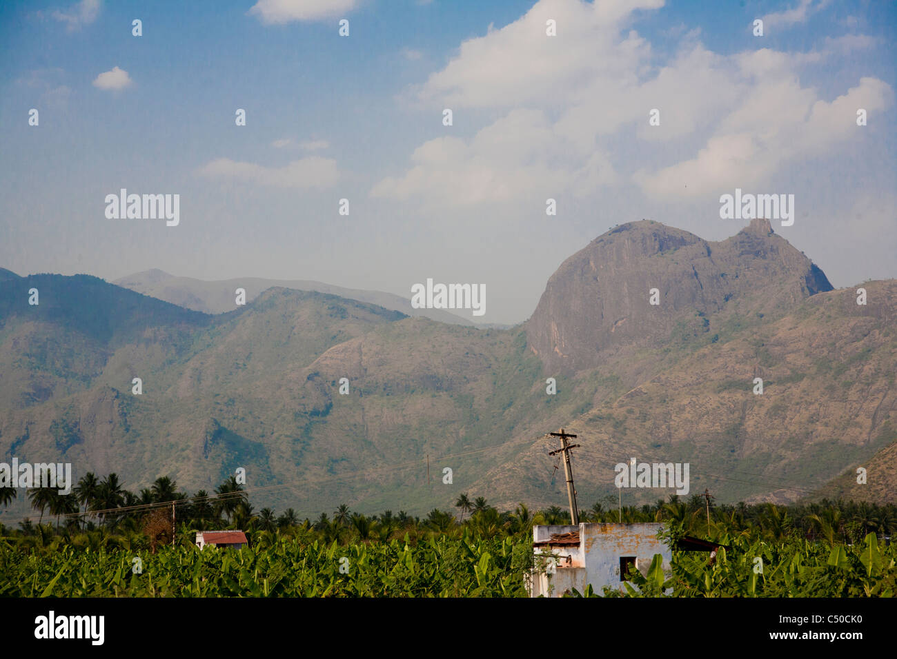 Landschaft von Tamil Nadu, nahe der Grenze von Kerala, Indien. Stockfoto