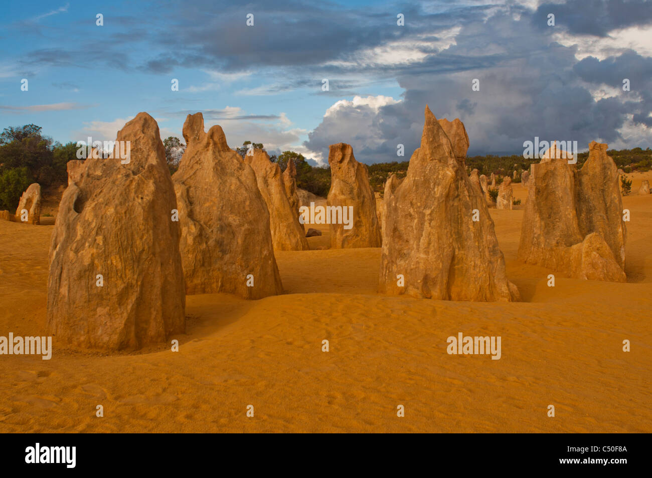 Felsformationen in der Pinnacles Desert, Western Australia Stockfoto