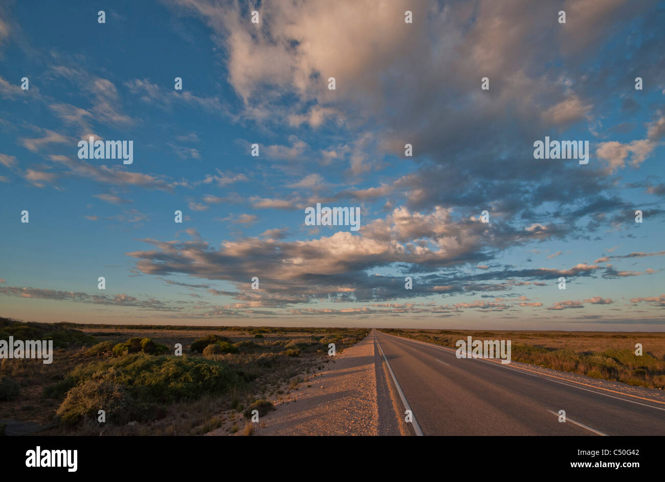 Outback Australien Highway über die Nullarbor Plain Stockfoto