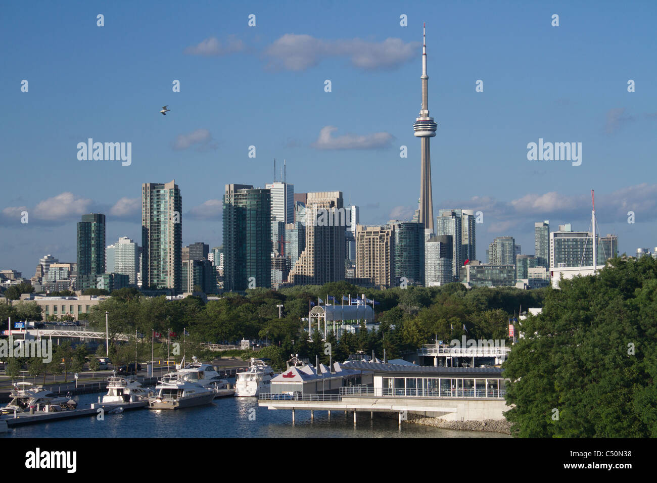 Toronto sonnigen "Cn Tower" "Hafen" Stockfoto