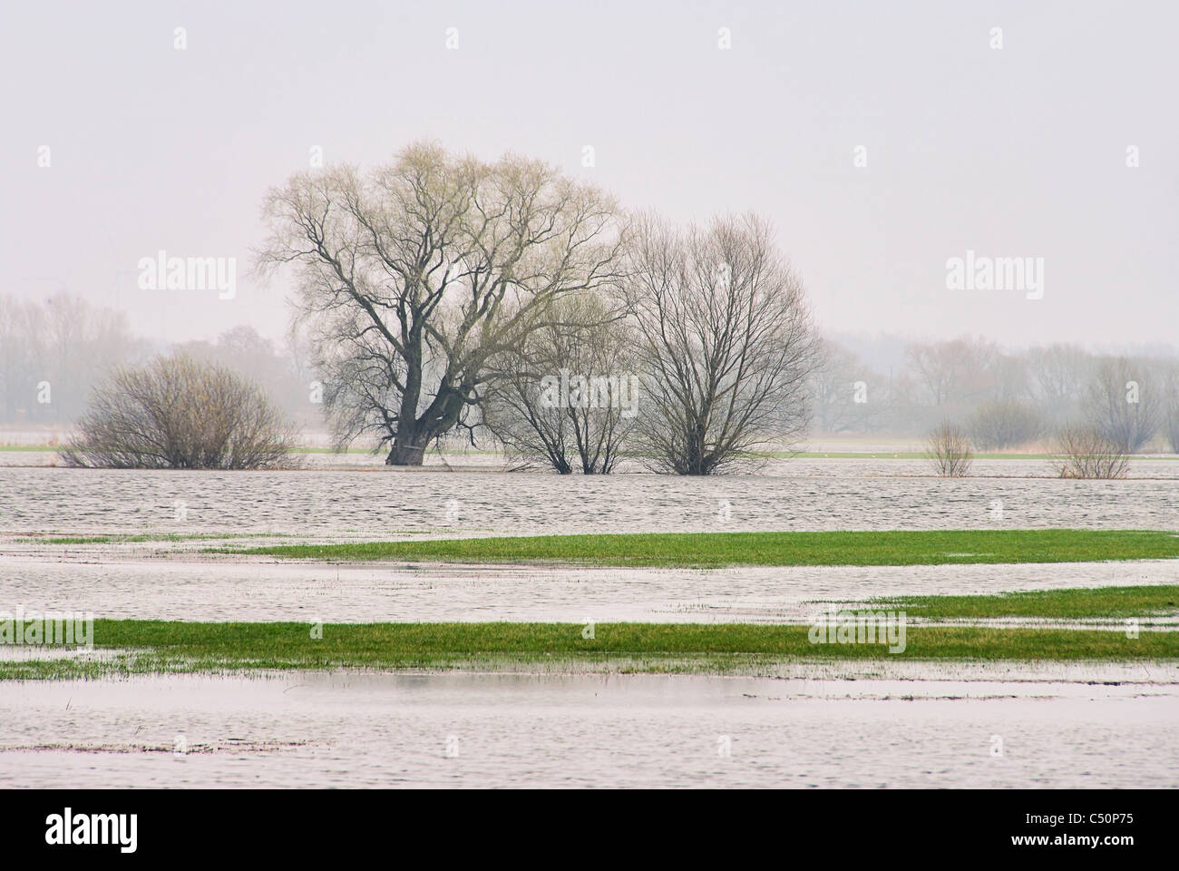 Elbe-Hochwasser - Elbe-Hochwasser 01 Stockfoto
