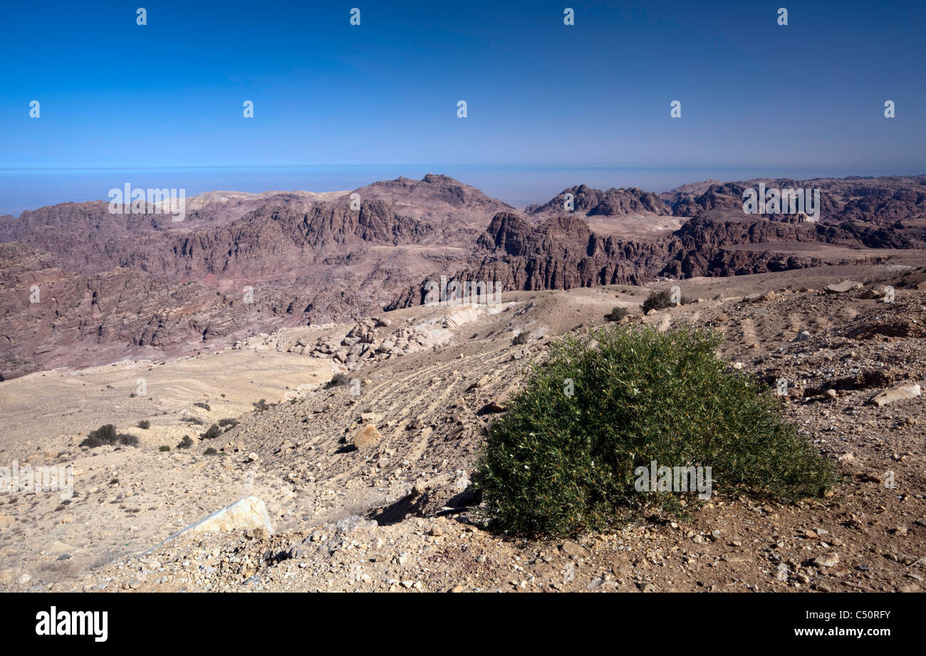 Mit Blick auf das Jordantal Stockfoto