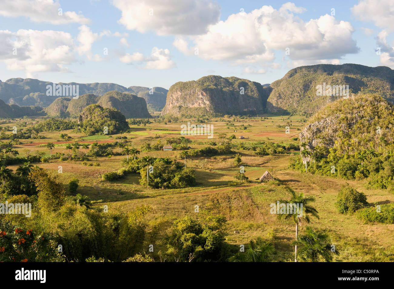Vinales Tal, Tabak-Plantage, Mogotes, Vinales, Provinz Pinar Del Rio, Kuba Stockfoto