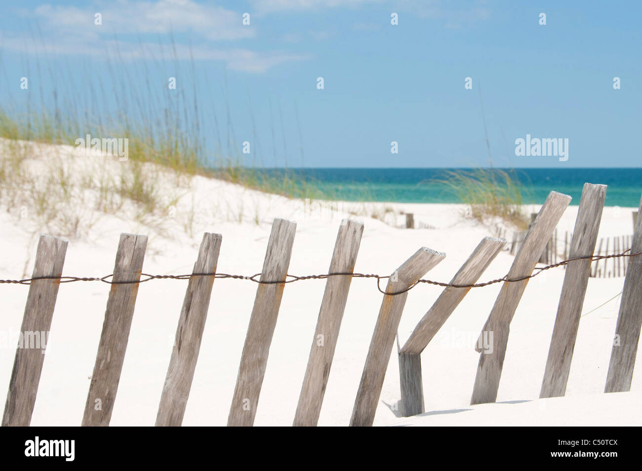 Sanddüne auf Perdido Key, Florida Stockfoto