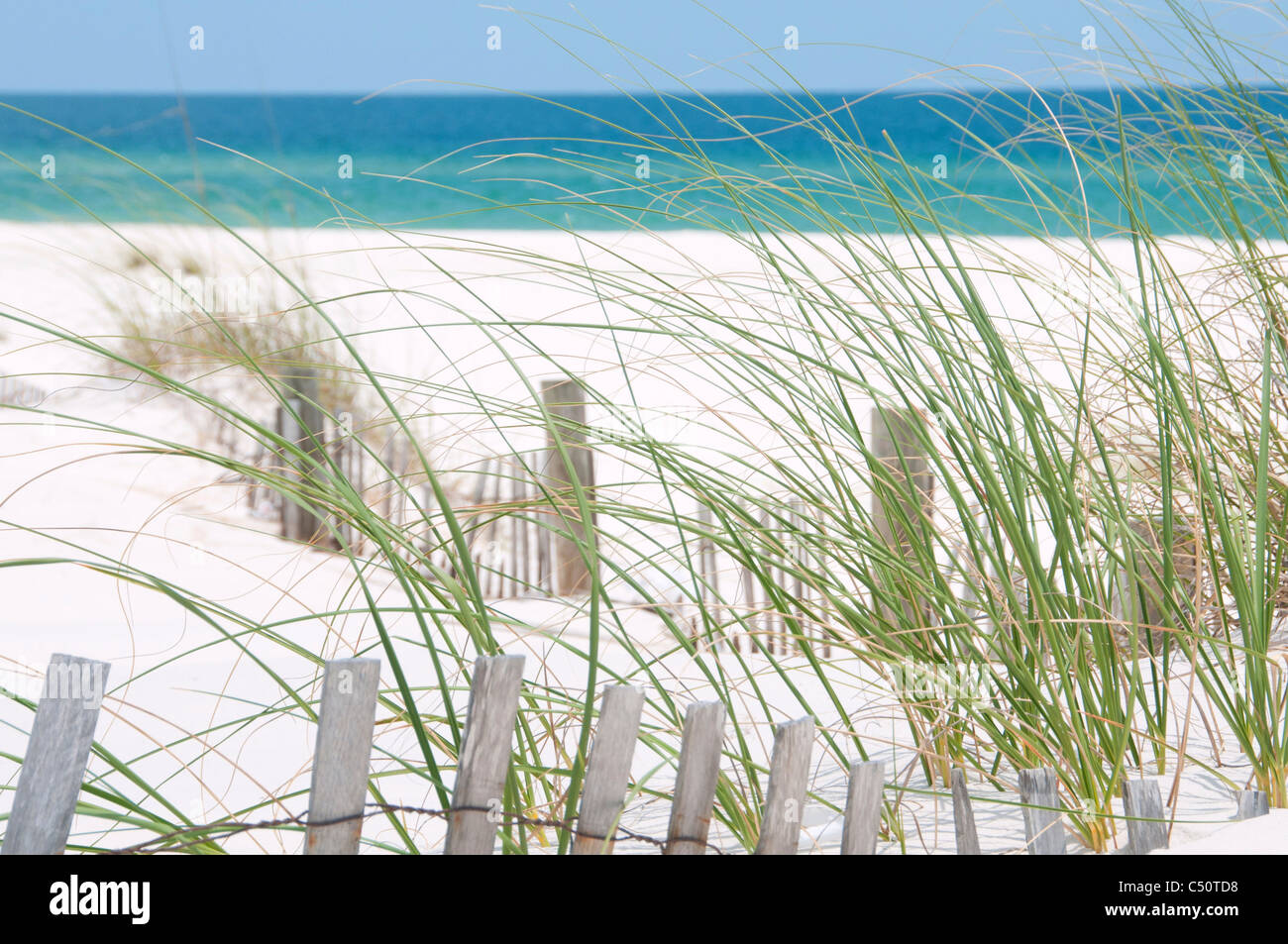 Hübsche Sanddüne auf Perdido Key, Florida Stockfoto