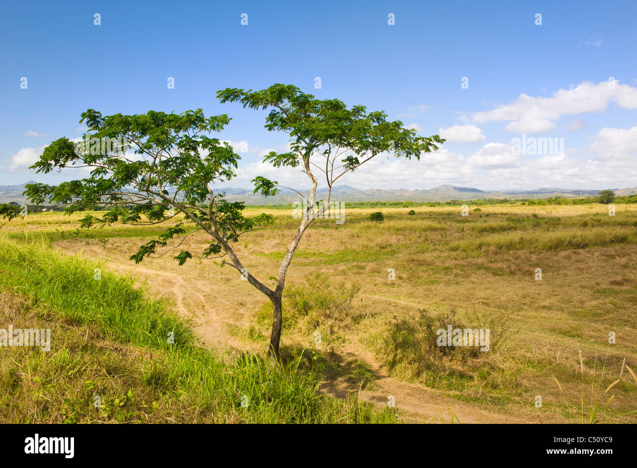 Landschaft der Valle de los Ingenios, Tal der Zuckerfabriken, Trinidad, Kuba Stockfoto