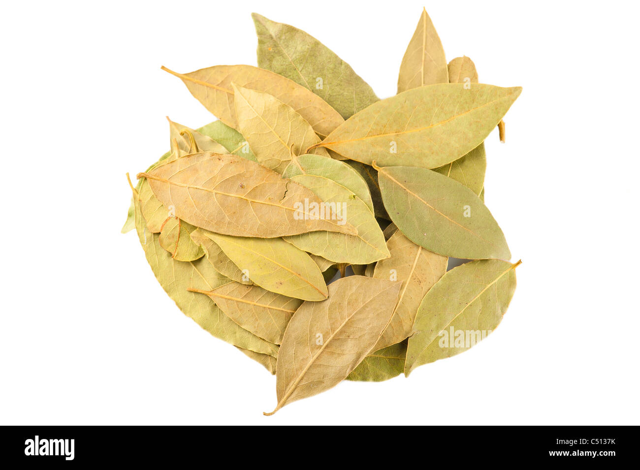 Gewürze. Trockenen Lorbeer Blätter auf weißem Hintergrund Stockfoto