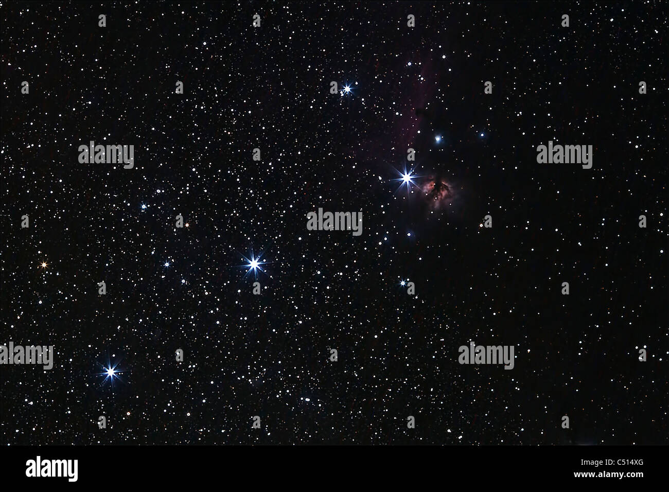 Orion Gürtel, Pferdekopfnebel und Flame-Nebel Stockfotografie - Alamy