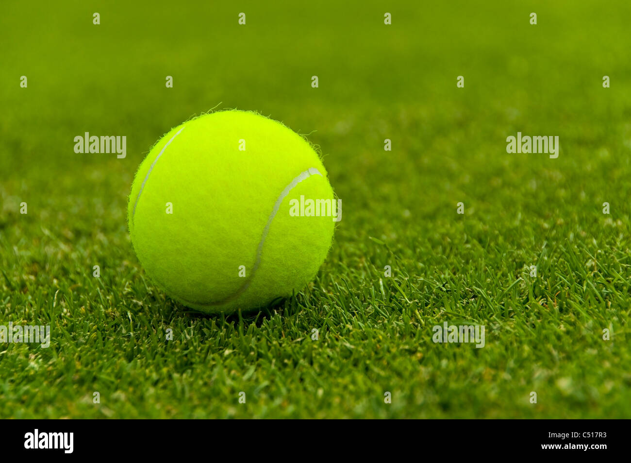 Ein Tennisball auf einem Rasen-Tennisplatz Stockfoto