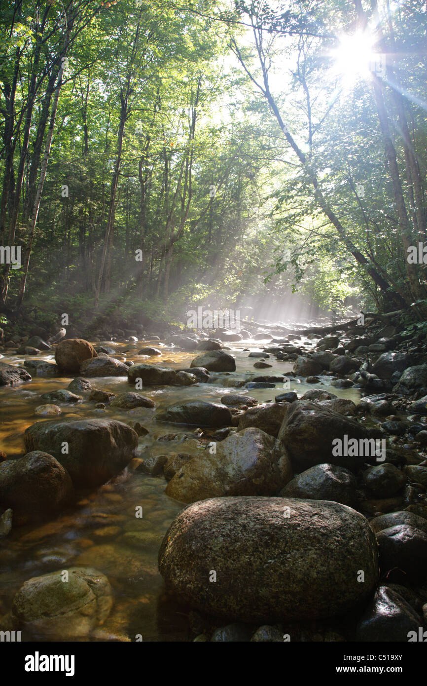 Pemigewasset Wildnis in den White Mountain National Forest, New Hampshire USA. Stockfoto