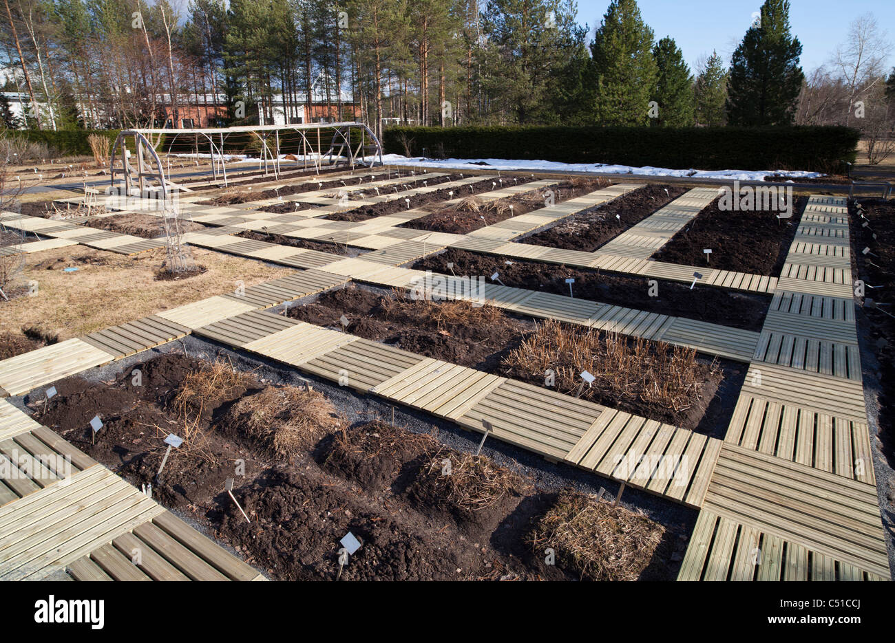 Holzstege auf Botanischer Garten Universität Oulu, Finnland Stockfoto