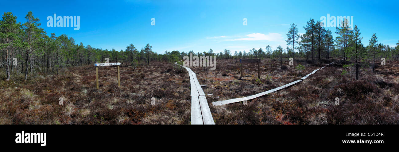 Zeichen von Finnland Puurijärvi-Isosuo Kansallispuisto Marschland Moor Nationalpark. Scandinavia Stockfoto