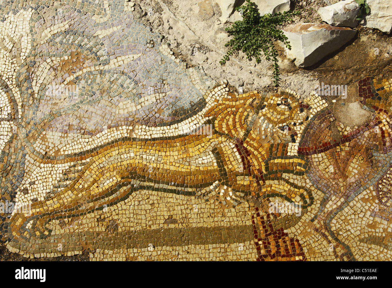 Afrika Nordafrika Tunesien Bulla Regia Archaologische Statte