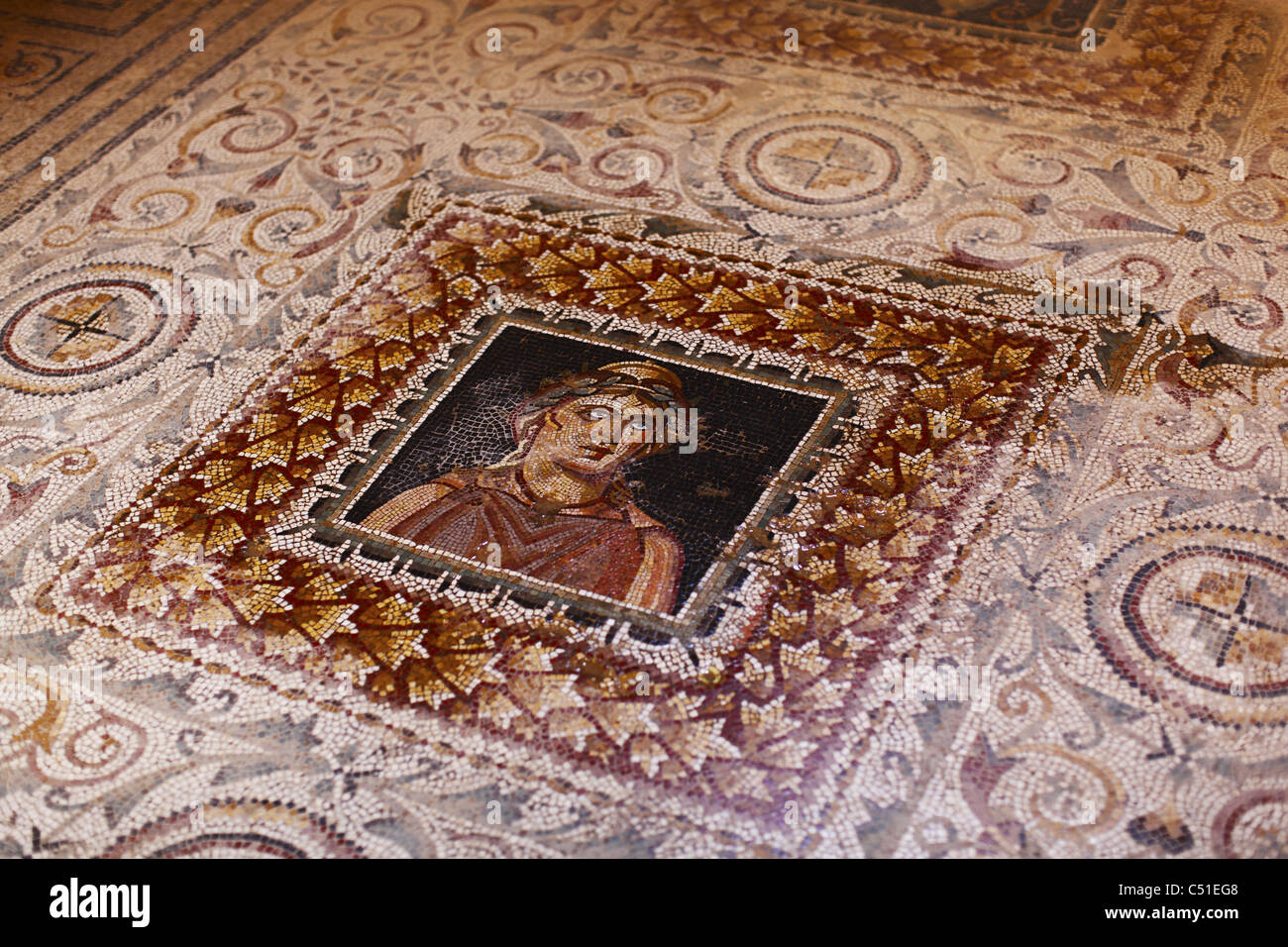 Afrika, Tunesien, Bulla Regia archäologische Stätte, römische Ruinen, Haus der Amphitrite, Mosaik von Venus Stockfoto