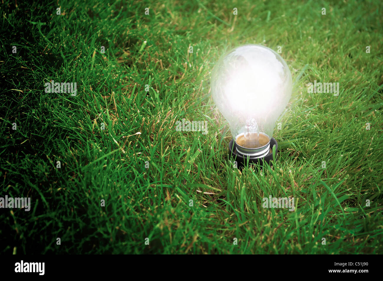 Alternative Energie-Konzept - Glühbirne leuchtet das Gras in der Nacht Stockfoto